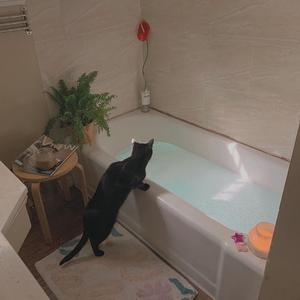 美女按摩偷拍视频一区二区
