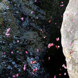 美女按摩偷拍视频一区二区
